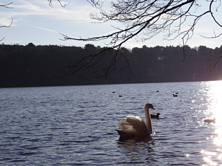 Berlin Schlachtensee